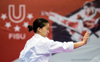 World University Championship Karate